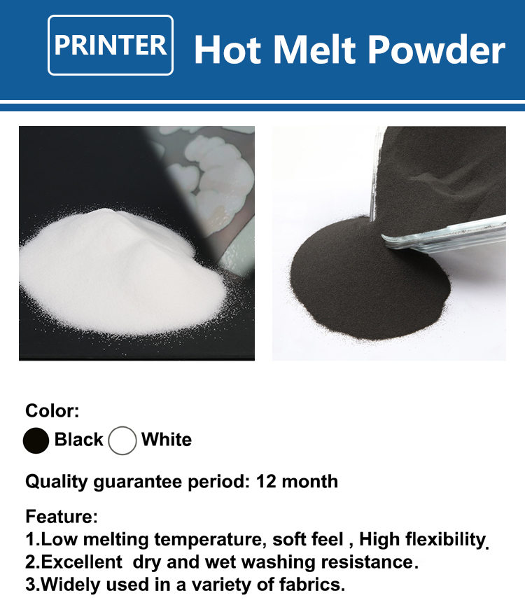 1000 g 1 kg DTF-Pulver Feines  - Direct To Garment Ink review and price